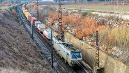 Un train de marchandise entre Béziers et Narbonne (photo d'illustration, le 18 janvier 2024). (JEAN-MARC LALLEMAND / MAXPPP)