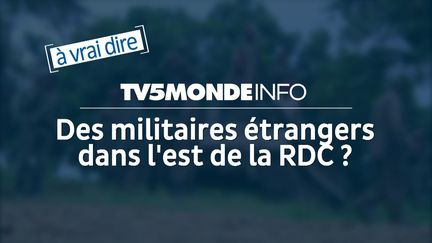 capture d'écran (TV5MONDE)