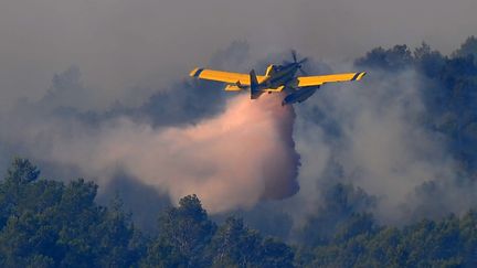 Un canadair intervient non loin de La Jonqu&egrave;re, dans le nord-est de l'Espagne, afin de stopper la progression d'un incendie qui ravage la r&eacute;gion, lundi 23 juillet.&nbsp; (LLUIS GENE / AFP)