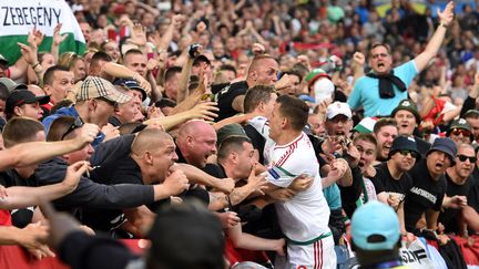 Szalai célèbre l'ouverture du score avec les supporters. (MEHDI FEDOUACH / AFP)