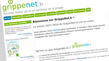  (Home du site grippenet.fr © capture d'écran)