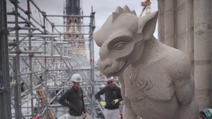 Notre-Dame de Paris : le travail colossal des artisans se dévoile