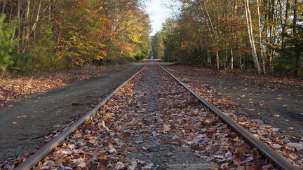 Une voie de chemin de fer au milieu d'une forêt. Photo d'illustration. (MAXPPP)