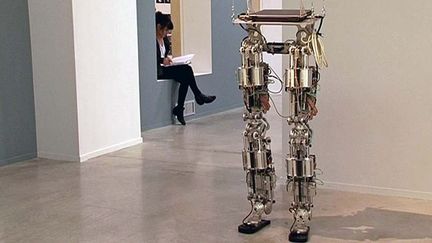 L'exposition "Anatomie de l'automate" est à découvrir à La Panacée
 (France3/culturebox)