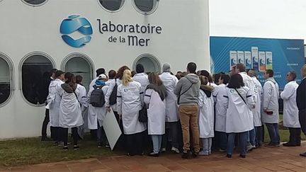 &nbsp; (Les salariés du Laboratoire de la Mer en grève pour la réintégration de leur patron © Radio France / France Bleu Armorique)