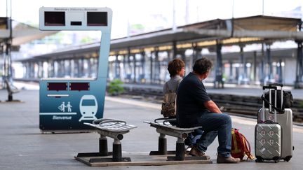 Des passagers patientent en gare d'Austerlitz, &agrave; Paris, le 13 juillet 2013. (THOMAS SAMSON / AFP)