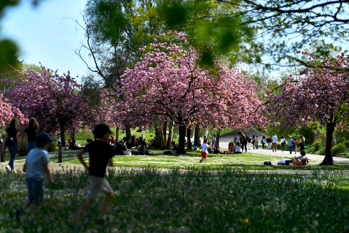 Des enfants jouent au parc floral de Paris, le 18 avril 2018. (GERARD JULIEN / AFP)