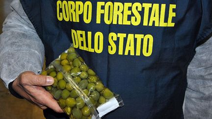 Des olives repeintes avec du&nbsp;sulfate de cuivre ont notamment été saisies en Italie. (INTERPOL)