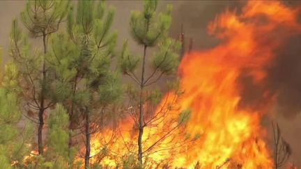 Jeudi 11 août, les soldats du feu n’ont toujours pas éteint l’incendie qui sévit en Gironde.&nbsp;7 200 hectares de végétations sont partis en fumée. (FRANCE 3)