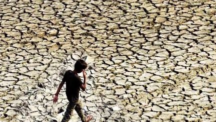 Climat : l'Inde et le Pakistan en proie à des chaleurs extrêmes