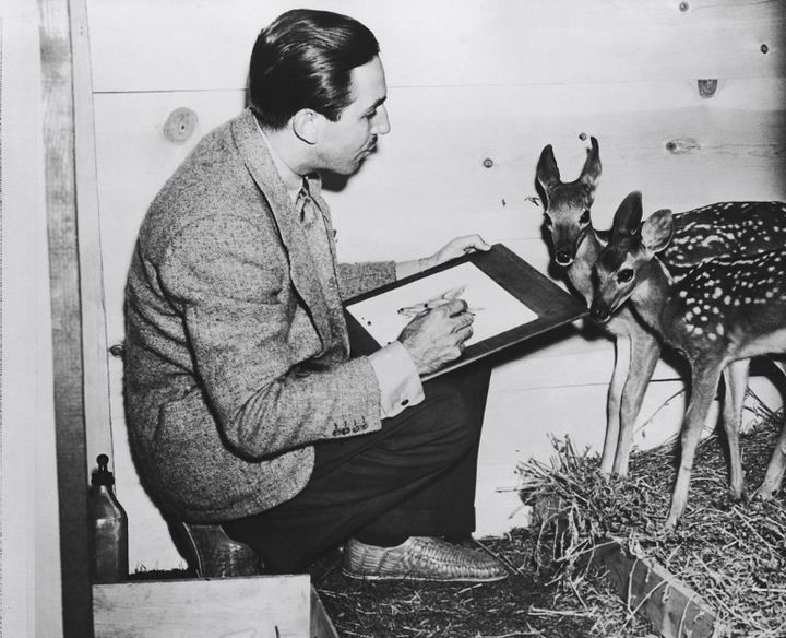 Walt Disney dessinant devant des faons (1942)
 (HO / DISNEY Musee Art Ludique / AFP)