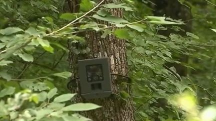 Déchets : des forêts sous vidéosurveillance