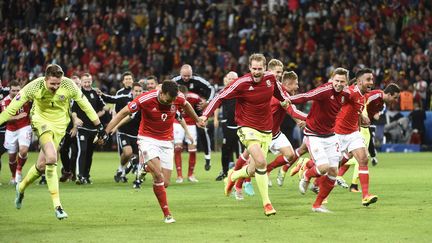 La joie des joueurs du pays de Galles (JEAN MARIE HERVIO / DPPI MEDIA)