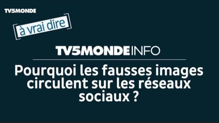 capture d'écran (TV5MONDE)