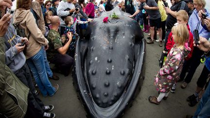 Des personnes se recueillent autour d'une baleine &agrave; bosses morte apr&egrave;s s'&ecirc;tre &eacute;chou&eacute;e sur la plage de White Rock (Canada), le 12 juin 2012. (DARRYL DYCK / AP / SIPA)