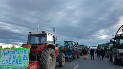 Les agriculteurs en colère ont investi l'A64 au niveau de Carbonne (Haute-Garonne). (PASCALE DANYEL / RADIO FRANCE)