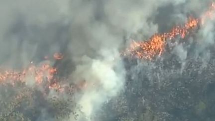 Australie : les pompiers face à de gigantesques incendies