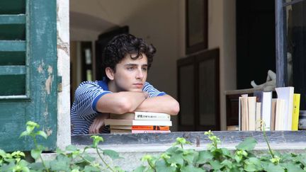 Timothée Chalamet, nouvelle coqueluche d'Hollywood, incarne Elio dans "Call me by your name" de Luca Guadagnino.
 (Sony Pictures Entertainment)