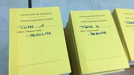 Le procès en appel de Francis Heaulme, pour le double meurtre de Montigny-les-metz en 1986, a démarré le 4 décembre 2018. (CÉCILE SOULÉ / FRANCE-BLEU LORRAINE NORD)