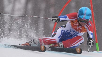 Anémone Marmottan (DIMITAR DILKOFF / AFP)