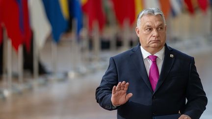 Hungarian Prime Minister Viktor Orban on December 14, 2023 in Brussels (Belgium).  (JONAS ROOSENS / ANP MAG)