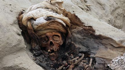 Un crâne d'un enfant sacrifié retrouvé sur un site de Pampa la Cruz (Colombie), le 27 août 2019. (LUIS PUELL / ANDINA / AFP)