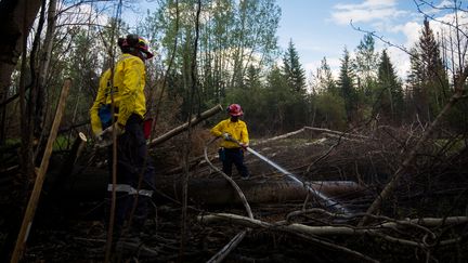 Des pompiers sud-africains tentent de maîtriser le feu de&nbsp;Fort McMurray, au Canada, le 2 juin 2016. (TOPHER SEGUIN / REUTERS)