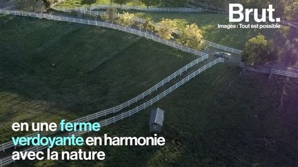 Transformer plusieurs hectares de terres dévastées et abandonnées en une ferme verdoyante. C'est le défi que se sont lancés John et Molly en Californie. Voici leur histoire.