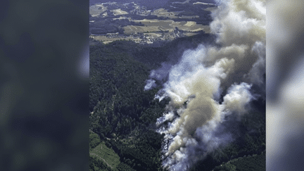 Vosges : un important feu de forêt s’est déclaré vers Bois-de-Champ (FRANCE 3)