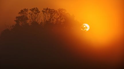 Un lever de soleil dans la brume, le 5 octobre 2024 à Nieuwe Wetering (Pays-Bas). (NICO GARSTMAN / ANP MAG)