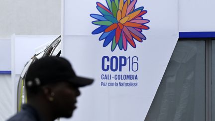 Un homme passe devant le logo de la COP16 biodiversité, à Cali, en Colombie, le 10 octobre 2024. (JOAQUIN SARMIENTO / AFP)