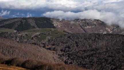 Vue sur les Cévennes depuis l'observatoire météo au sommet du Mont Aigoual, à Valleraugue (Illustration). (PASCAL GUYOT / AFP)