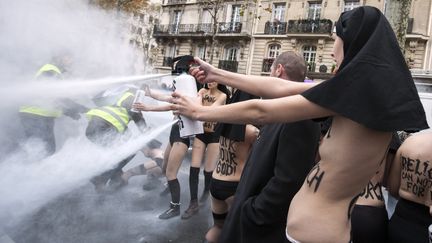 Des miitantes du Femen vident des extincteurs &agrave; la manifestation de Civitas contre le mariage pour tous, dimanche 18 novembre. (CITIZENSIDE / AFP)