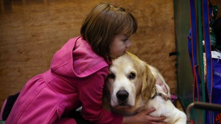 Royaume-Uni : à la découverte du plus grand salon canin au monde