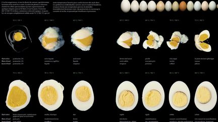 Visuellement, le r&eacute;sultat est bluffant. Pour illustrer leurs propos, les auteurs ont enrichi l'ouvrage -d&eacute;coup&eacute; en 6 tomes- de plus de 3 000 superbes photos, plongeant ainsi le lecteur au c&oelig;ur de la nourriture. (2011 MODERNIST CUISINE, LLC.)