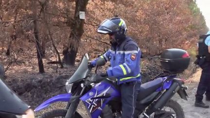 En&nbsp;plus de&nbsp;la lutte contre les flammes, l’autre mission cruciale est d’éviter à tout prix tout nouveau départ de feu.&nbsp;C'est l’objectif de "vigie forêt", un dispositif mis en place sur la zone.&nbsp;Des patrouilles de gendarmes veillent à faire respecter cette interdiction et recherchent d’éventuels pyromanes. (FRANCE 2)