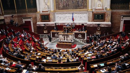 L'h&eacute;micycle de l'Assembl&eacute;e nationale, &agrave; Paris, le 18 juillet 2012. (FRANCOIS GUILLOT / AFP)