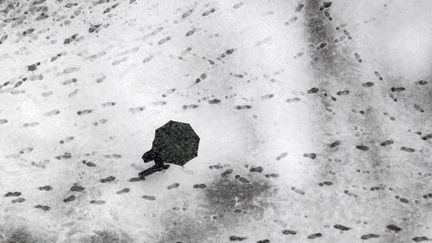 Alors que le redoux arrive en Europe, la neige continue de tomber dans les rues de Tokyo (Japon), le 29 f&eacute;vrier 2012. (KIM KYUNG-HOON / REUTERS)