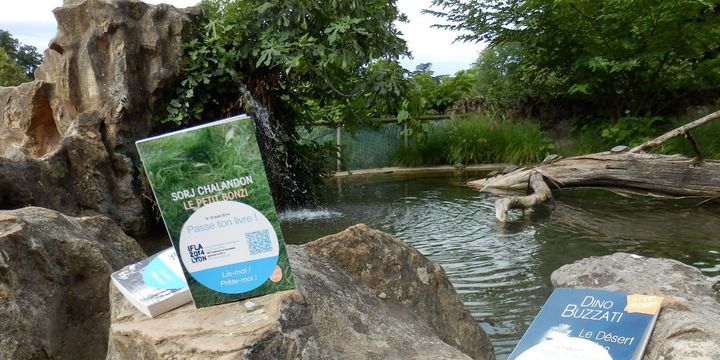 Passe ton livre au parc de la tête d'or de Lyon 
 (IFLA)