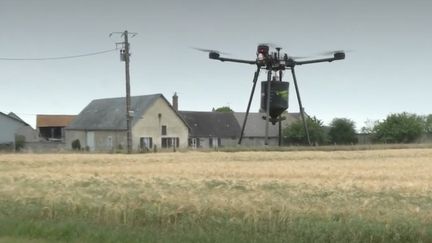 Permettre aux abeilles de se nourrir, c’est assurer leur avenir, mais aussi le nôtre. Pour la quatrième année consécutive, la semaine des fleurs pour les abeilles est lancée jusqu’au 21 juin. (France 3)