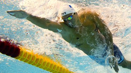 Florent Manaudou  (DAMIEN MEYER / AFP)