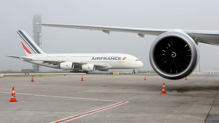 Un avion de la compagnie aérienne Air France, le 2 décembre 2016, sur le tarmac de l'aéroport de Roissy-Charles-de-Gaulle. (ERIC PIERMONT / AFP)