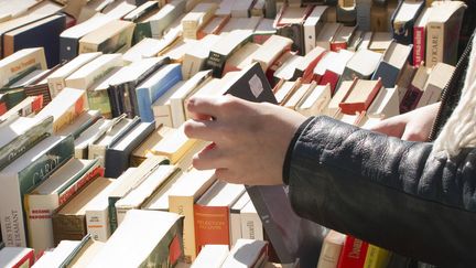 581 romans arriveront dans les rayons des librairies entre août et octobre 2017
 (Jacques LOIC / Photononstop)