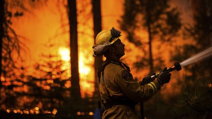 Un pompier venu de Sacramento dans le brasier, le 26 ao&ucirc;t 2013 en Californie (Etats-Unis).&nbsp; (MAX WHITTAKER / REUTERS)