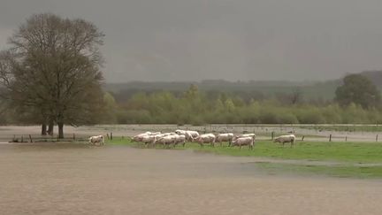 Les intempéries ont provoqué d'importantes crues dans la Saône-et-Loire et la Côte-d'Or, lundi 1er avril. Des inondations ont causé de nombreux dégâts chez les habitants de ces deux départements.