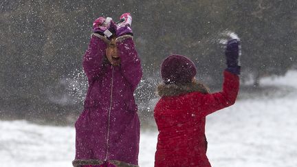 Des enfants jouent dans Central Park, &agrave; New York (Etats-Unis), le 26 janvier 2015. (CARLO ALLEGRI / REUTERS)