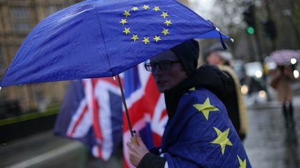 Une manifestante anti-Brexit à Londres, le 13 décembre 2017. (DANIEL LEAL-OLIVAS / AFP)