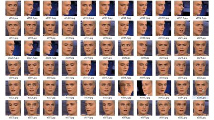 Etape de traitement de l'appli FakeApp, ici avec le visage de l'actrice&nbsp;Cara Delevingne. (CAPTURE D'ÉCRAN)