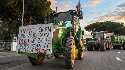 Opération escargot menée par les agriculteurs dans les rues de Perpignan, le 26 novembre 2024. (MICHEL CLEMENTZ / MAXPPP)