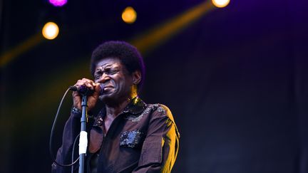 Charles Bradley, sur scène à Pasadena (Californie), le 24 juin 2017. (RICH FURY / GETTY IMAGES NORTH AMERICA / AFP)